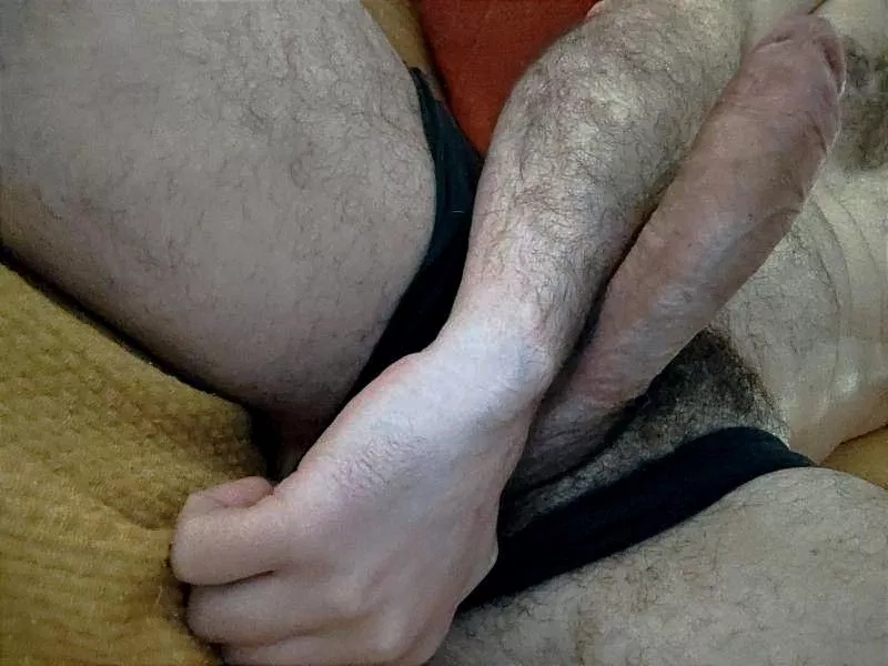 [40] bush gone wild posted by catdaddyforyou