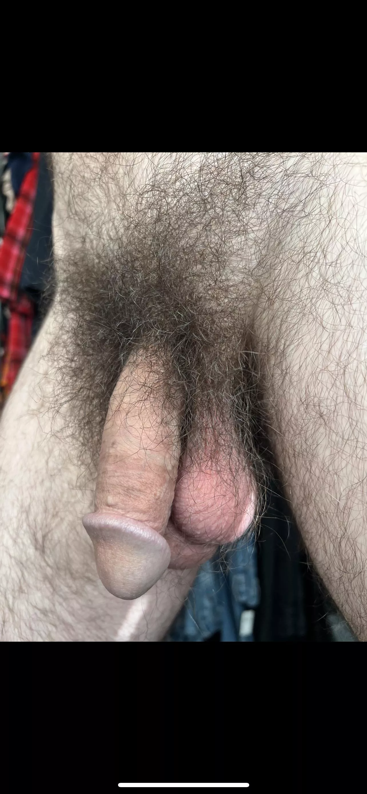 A full year without shaving! Keep growing it or trim it down an inch or so? posted by Tallbunyan