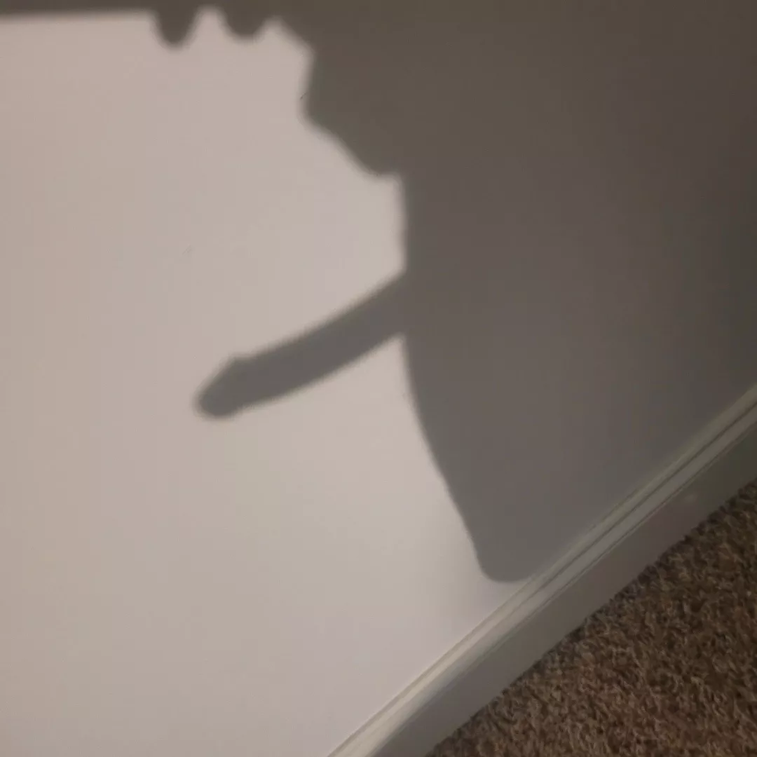 cock outline, in a way posted by nolandr0meda