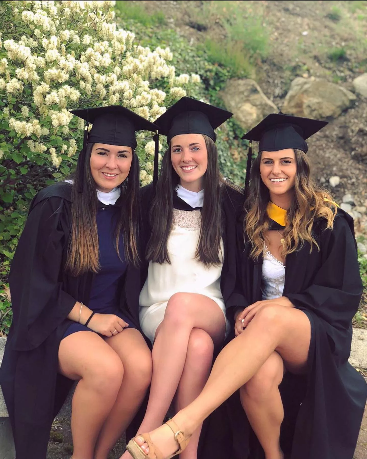 Grad choices posted by throwingit1460