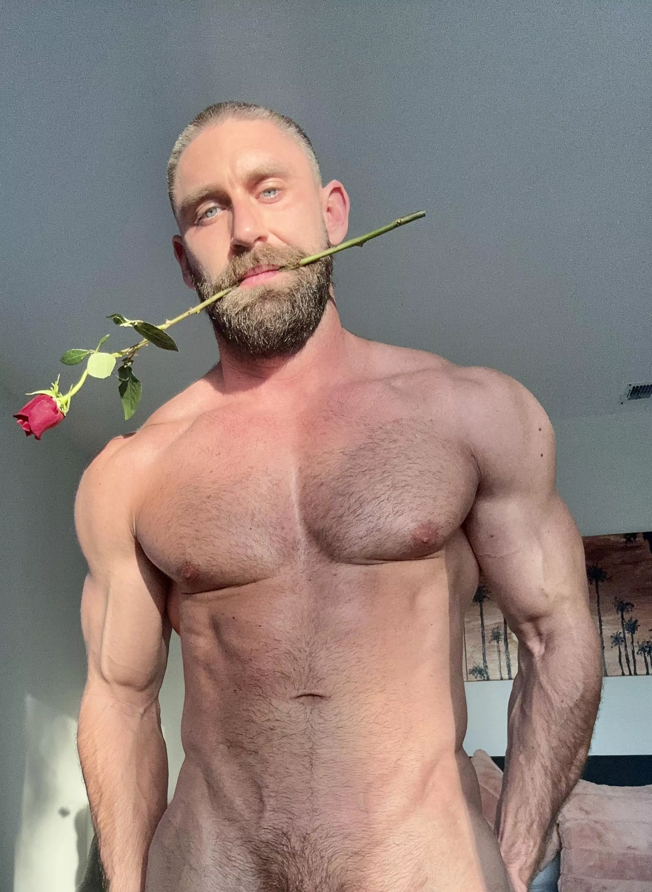 Happy Valentine’s Day! posted by onlygainzsteve