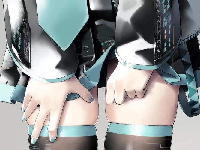 Hatsune Miku's absolute territory by IDM_Recursion
