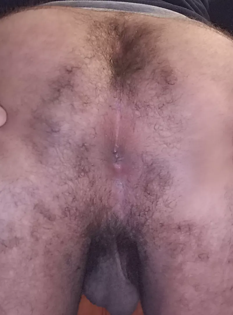 I wonder if my hairy butthole is appreciated here 🤔 posted by SexyPANDA306