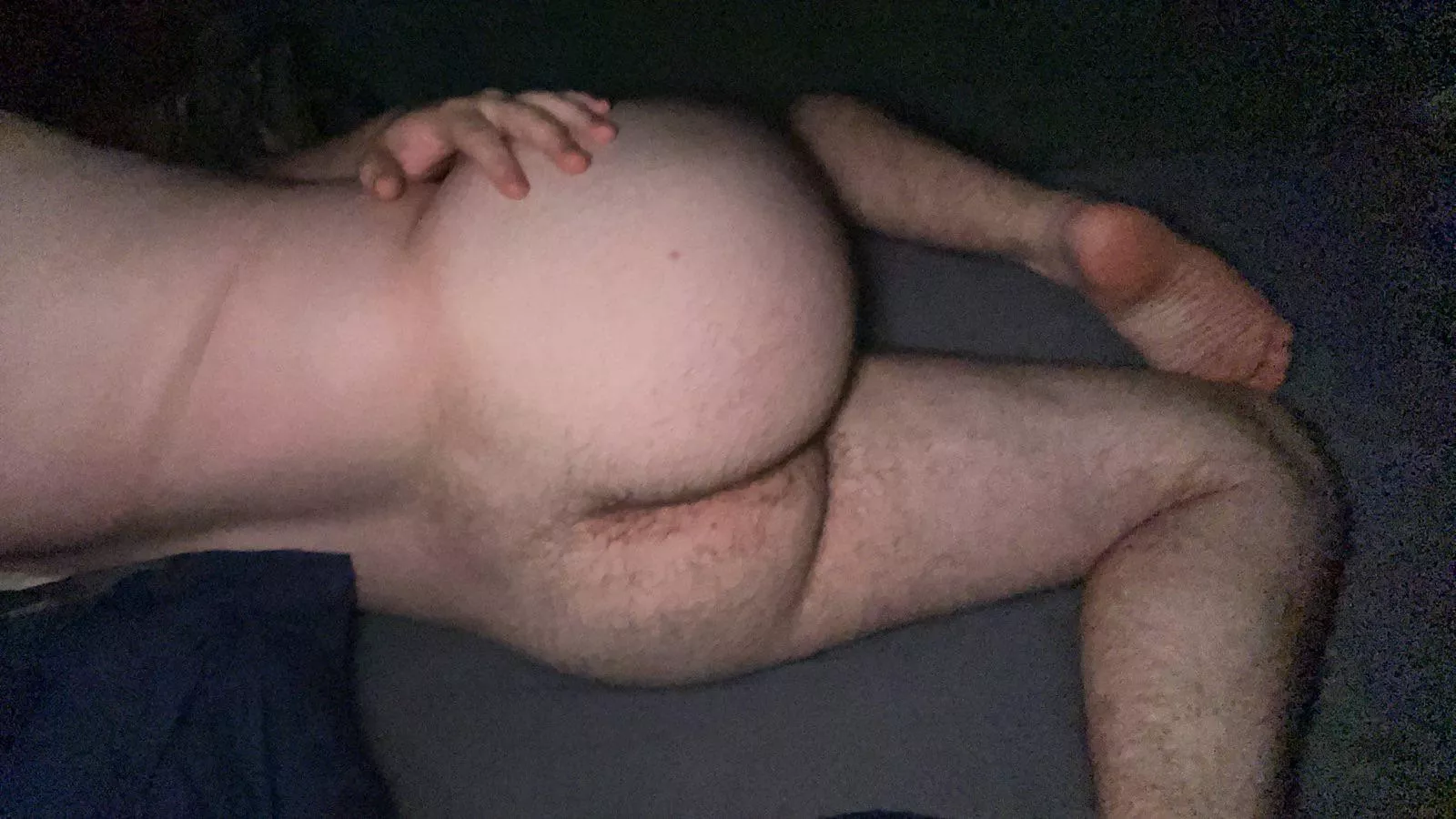 I‘m ready to get humped! posted by exoticzoom