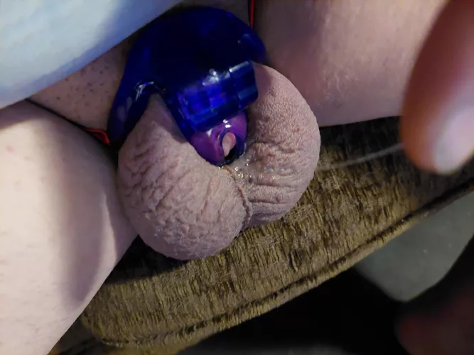 It's only been 6 days and it leaks nonstop. by justfourporn