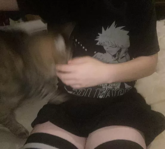 Kitty :3 by Sorry-Woodpecker4227