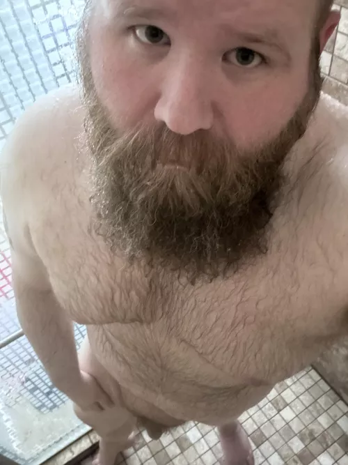 Let’s do try this again tonight by ExaminationVisual