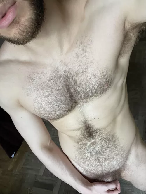 Love when my chest looks so full of hair by deoctubre