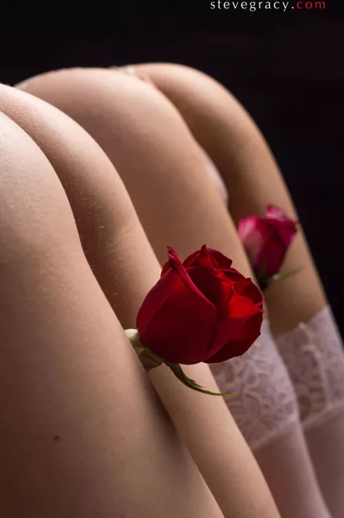 Molly & Cleo by SteveGracyPhoto