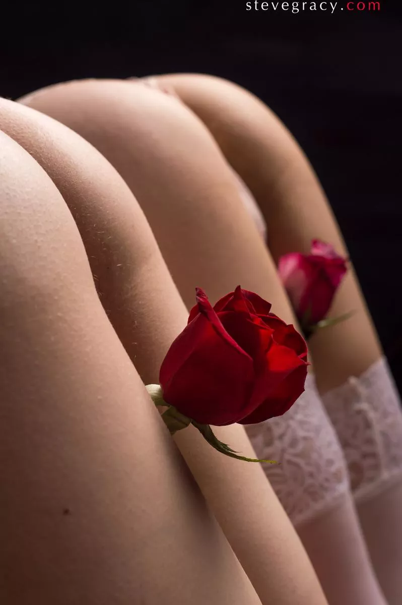 Molly & Cleo posted by SteveGracyPhoto