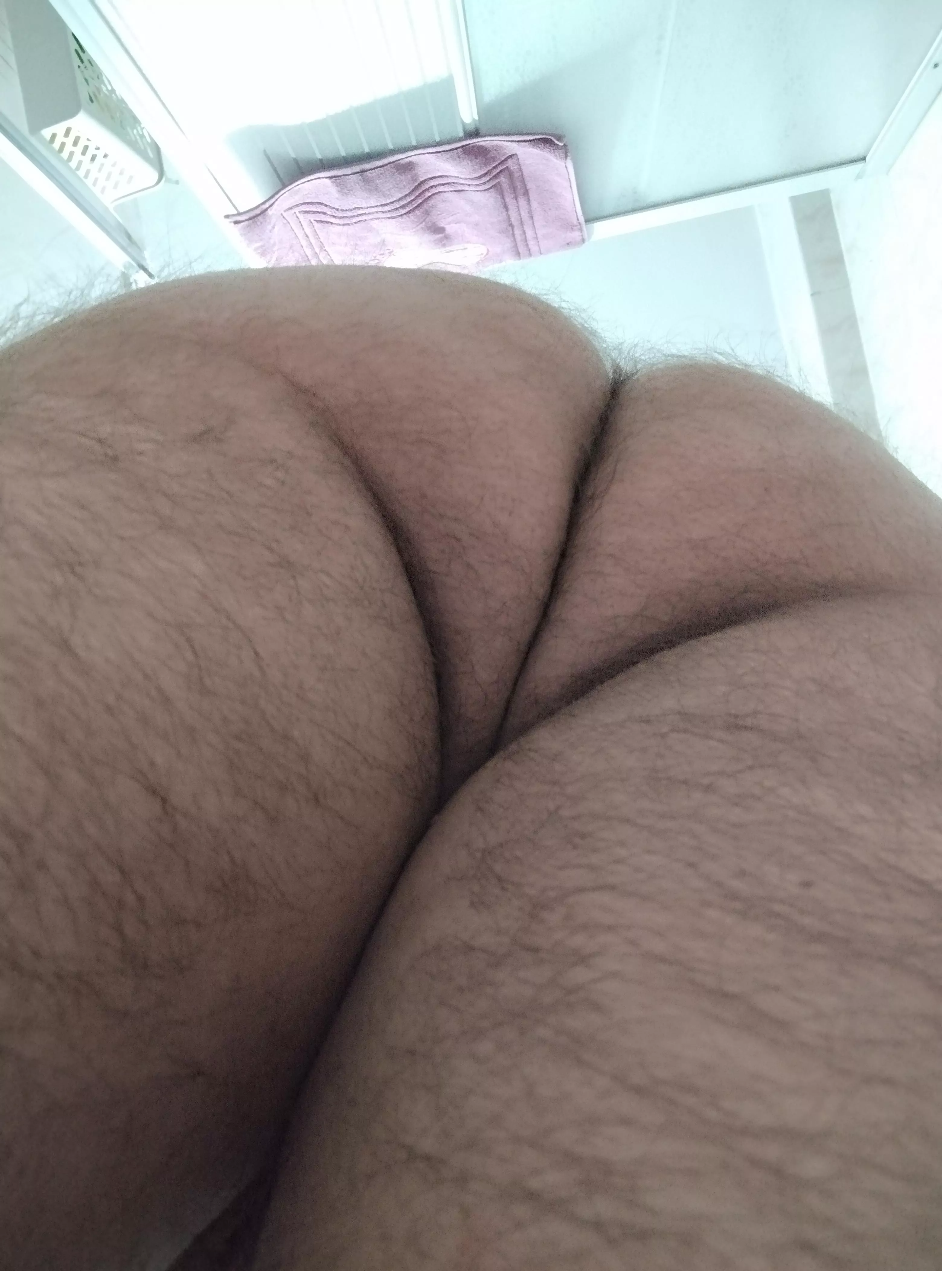 My big hairy ass. posted by Moist_Awareness_2027