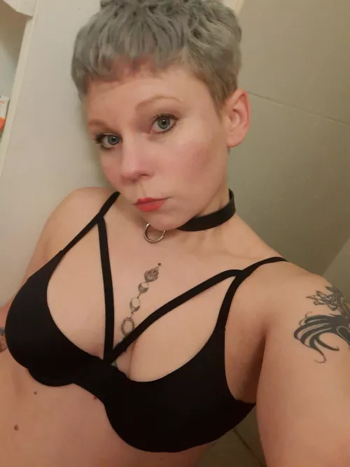 Submissive kitty looking for her daddy by Turbulent_Rip_9542