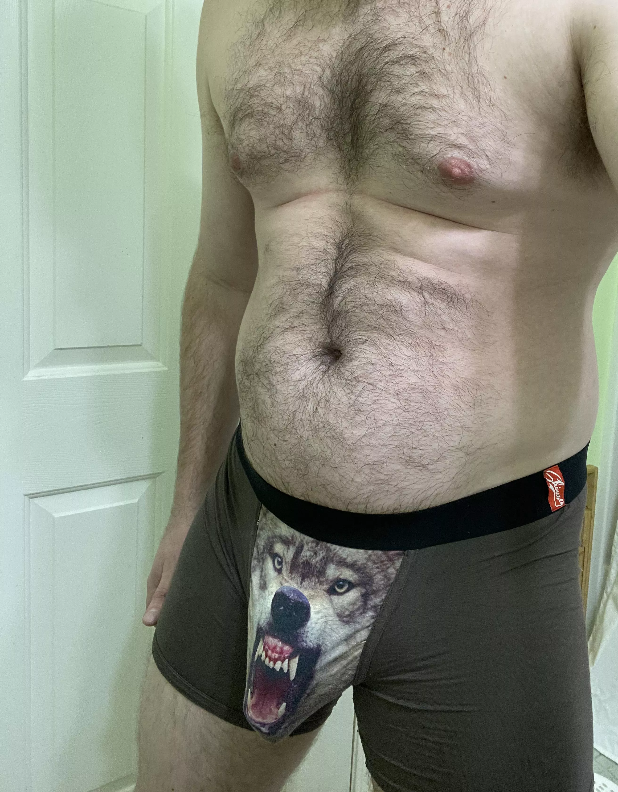 The wolf is hungry tonight posted by jdon494