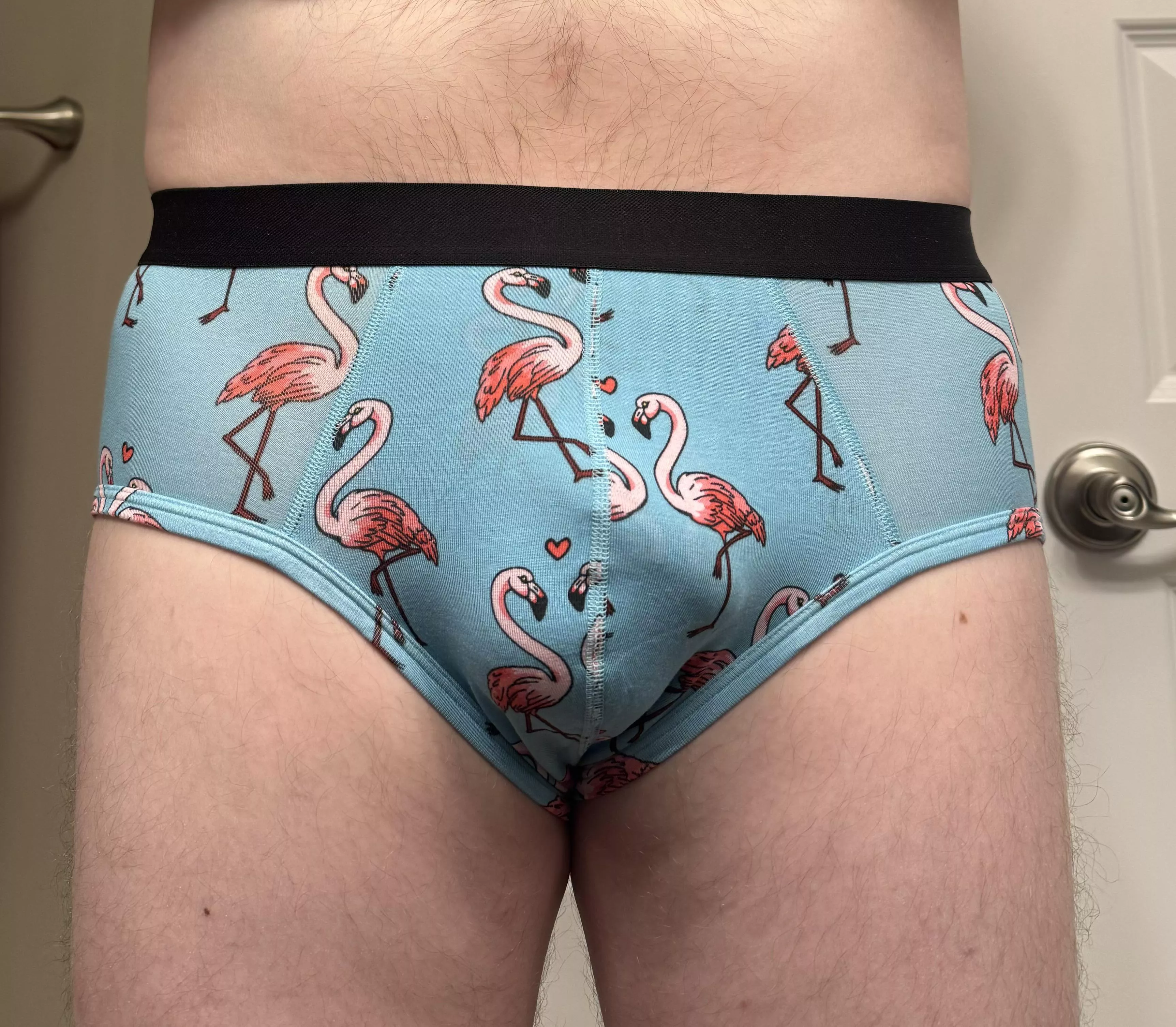 Valentine’s Day briefs posted by TWCanadian