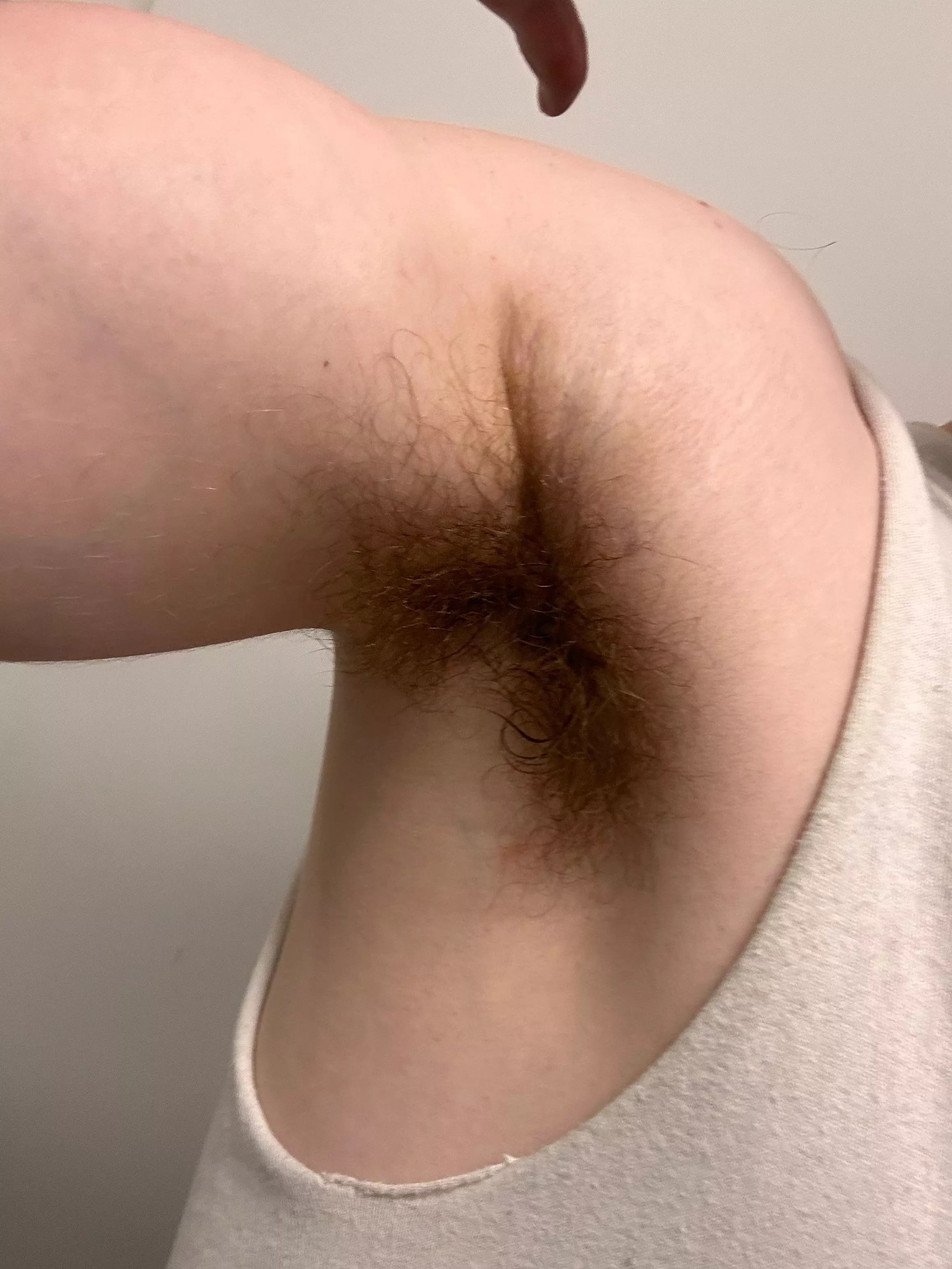 Who’s face am I gunna hold in my sweaty pits and make smell me? posted by ElsaGermaineRiley