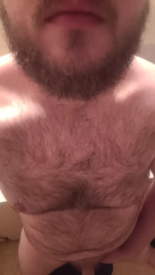 35 Hairy verse bear likes dirty chat and trade, into hairy bodies and beards, manscent, frot grind edging and gooning, every type of oral sex, verse sex, cockrings buttplugs and objects, and whatever else u can get me into, snap is osirisrae by Exhibear69