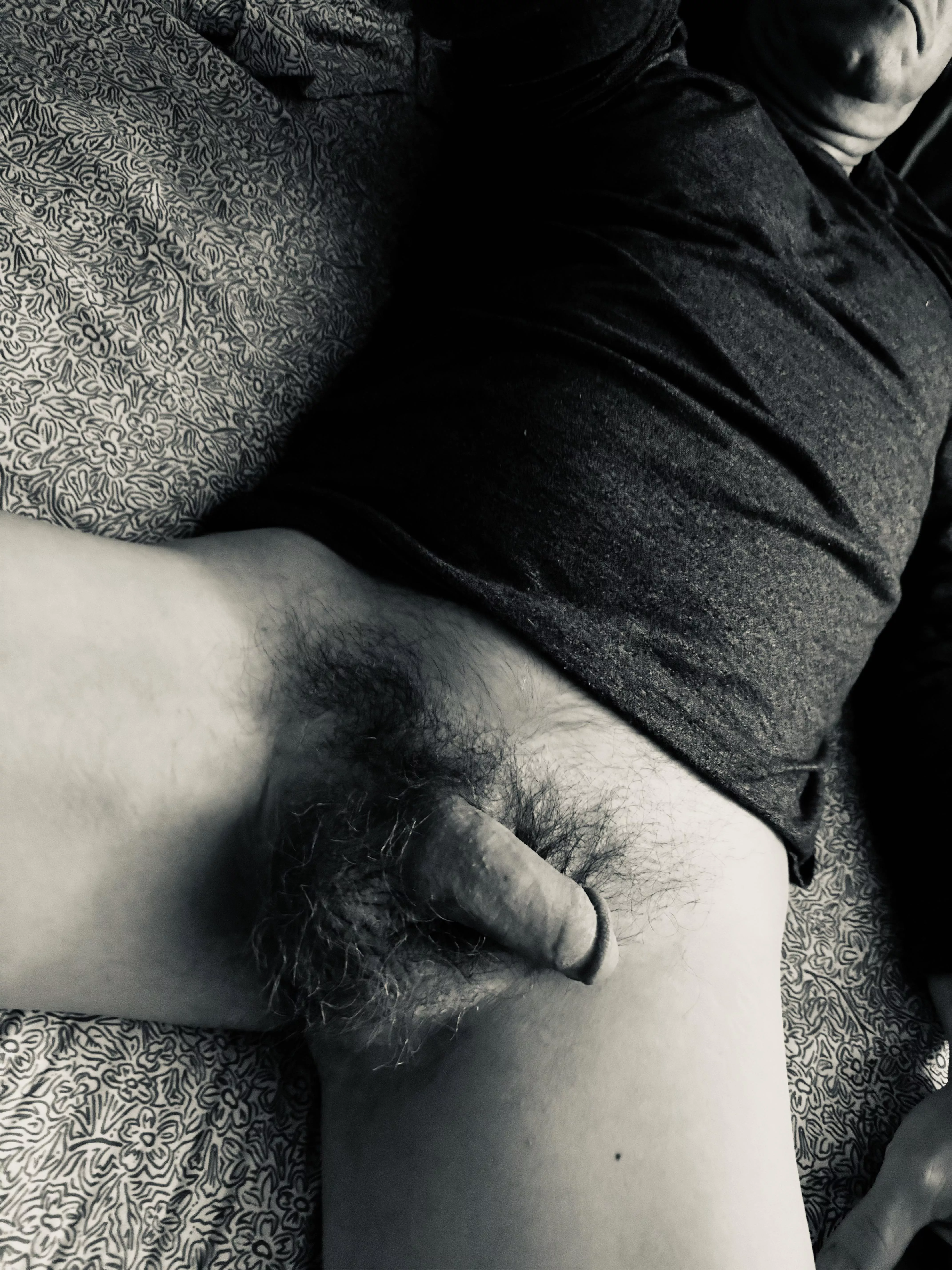 Care to take a stroll through the bush? 😇 posted by Thistlemaker2