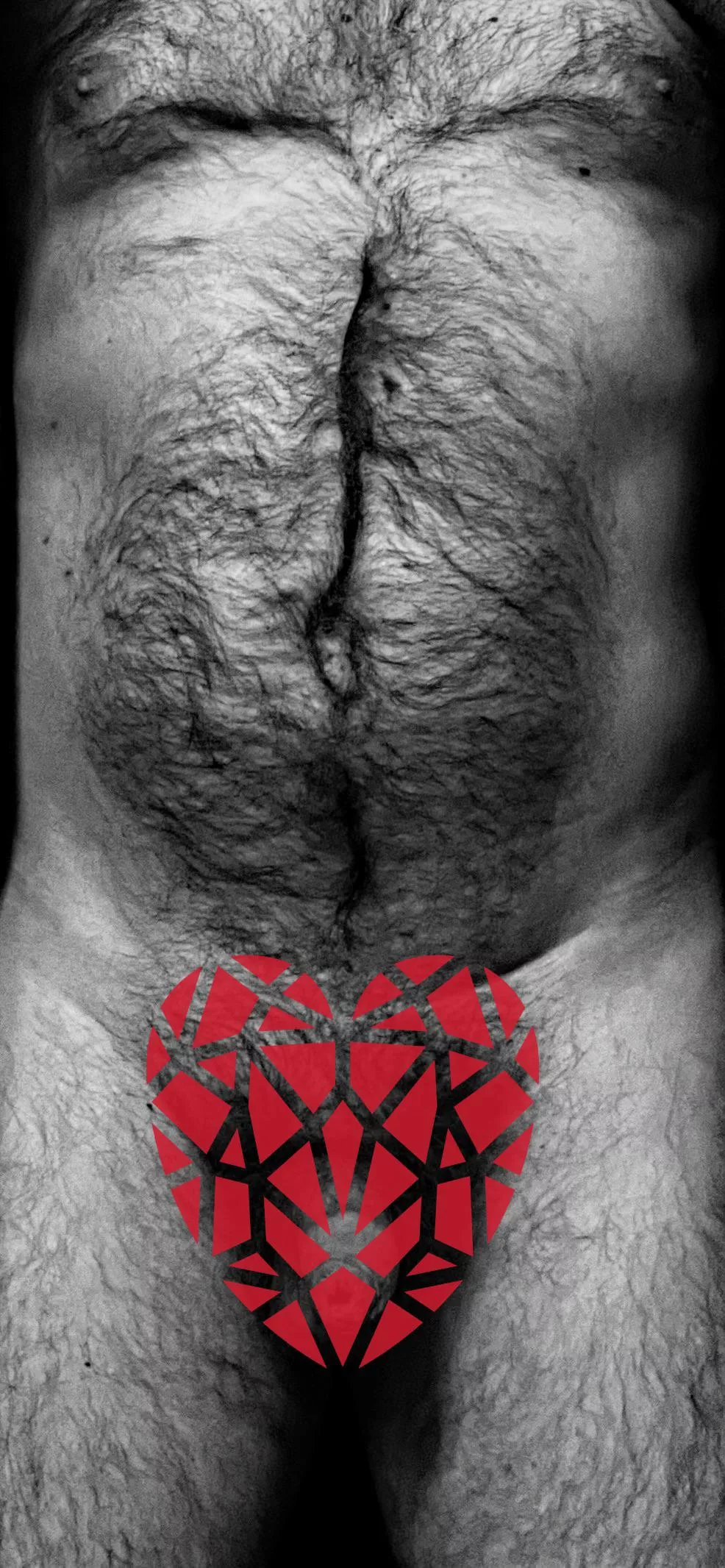 Follow my heart ♥️ posted by lemysterieuxinconnu