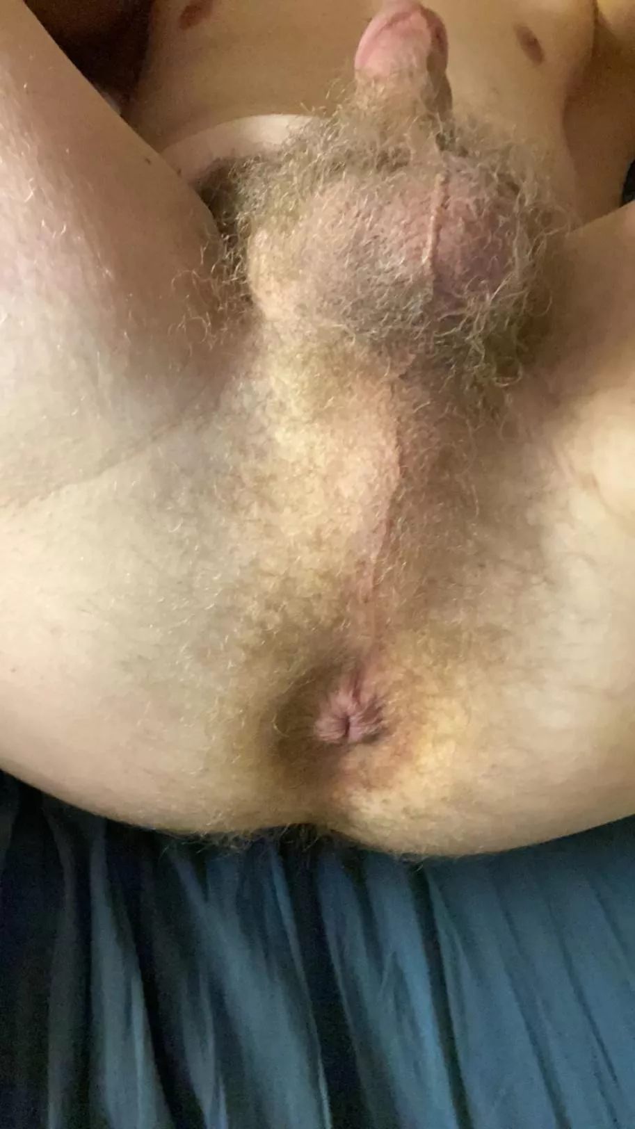 Light fuzz to bless your valentines day posted by altaccbutitsgay1