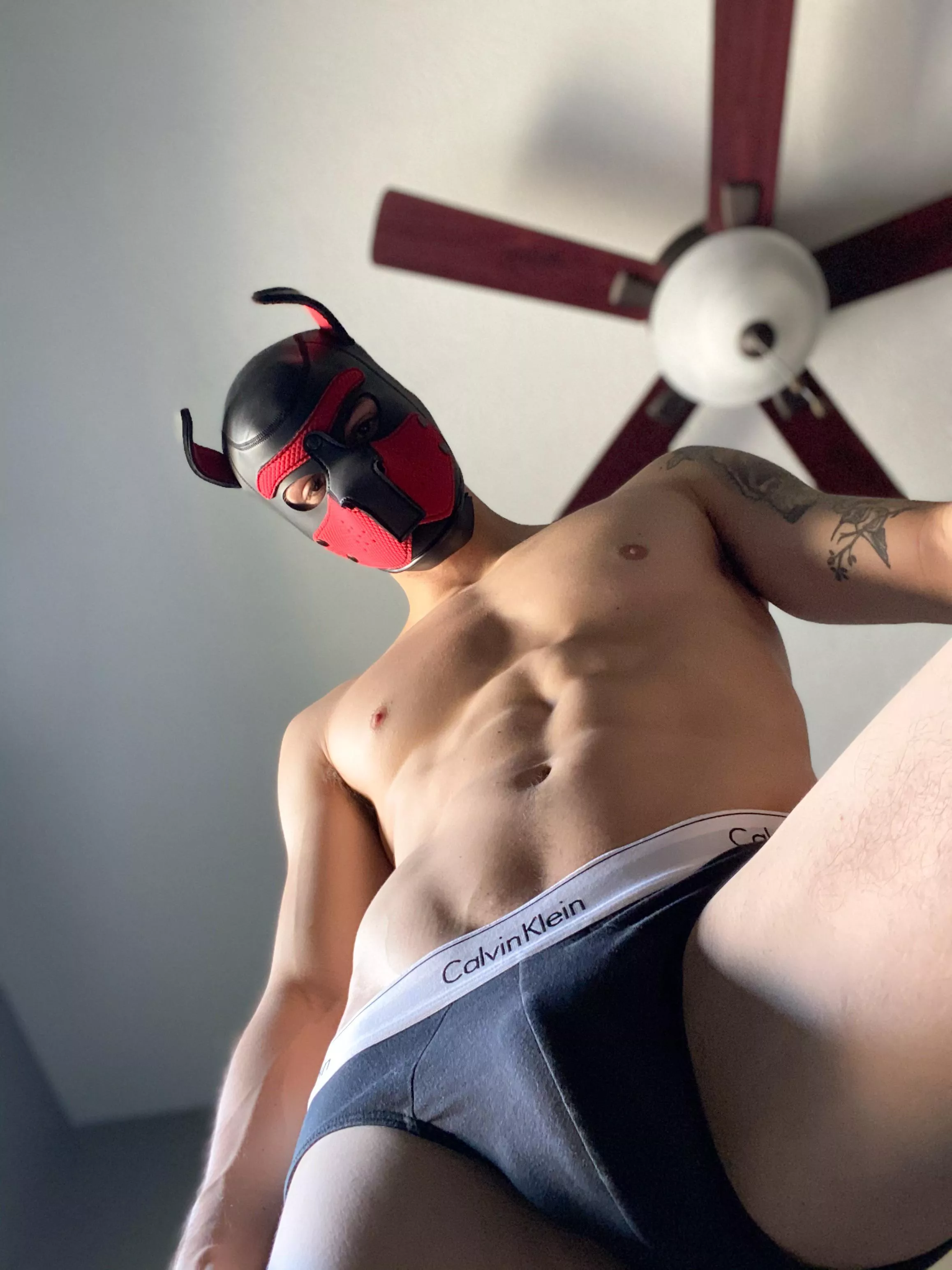 So I heard you’ve been a bad boy...⛓ posted by Tricky_Media_8641