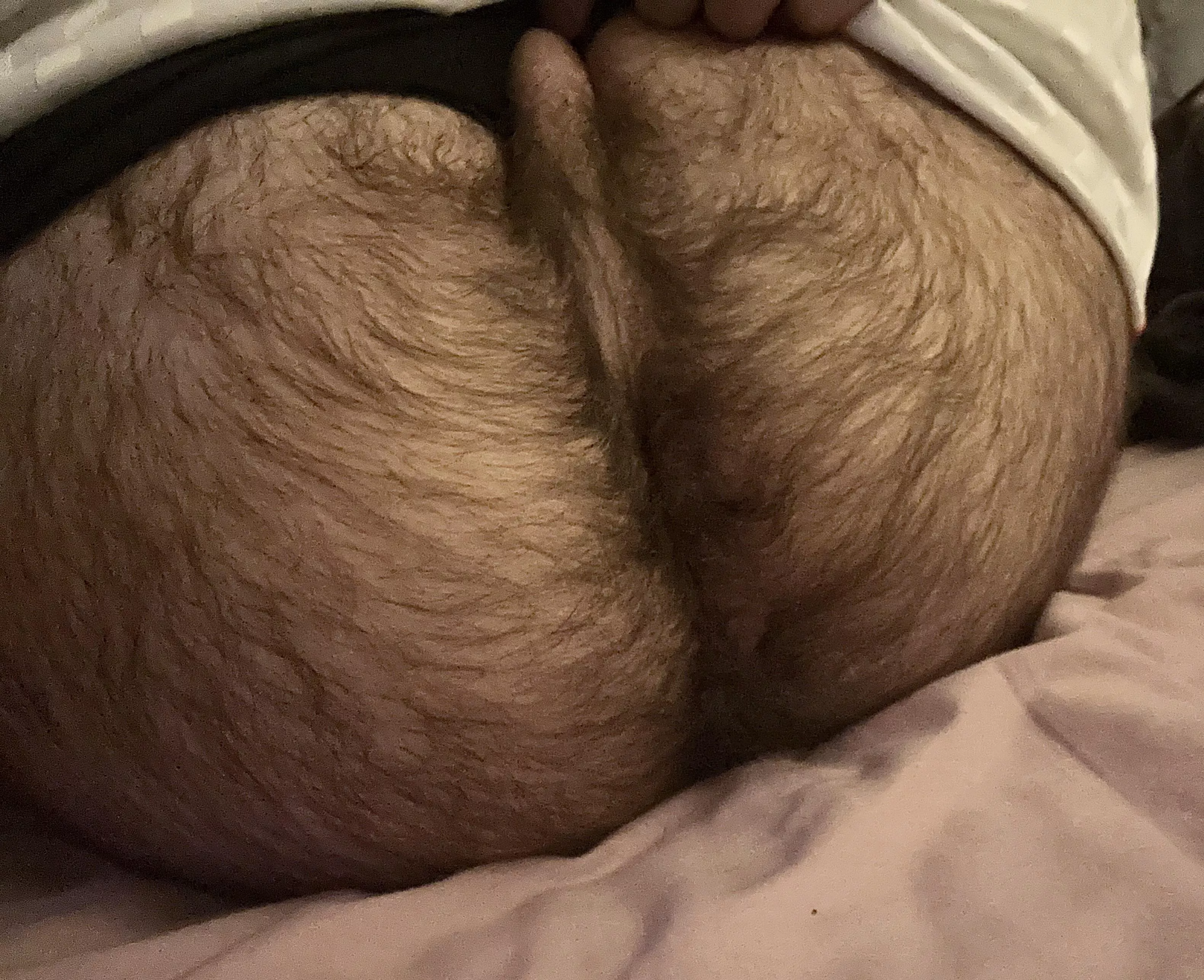 Some hairy hole for ya posted by Happiesttears