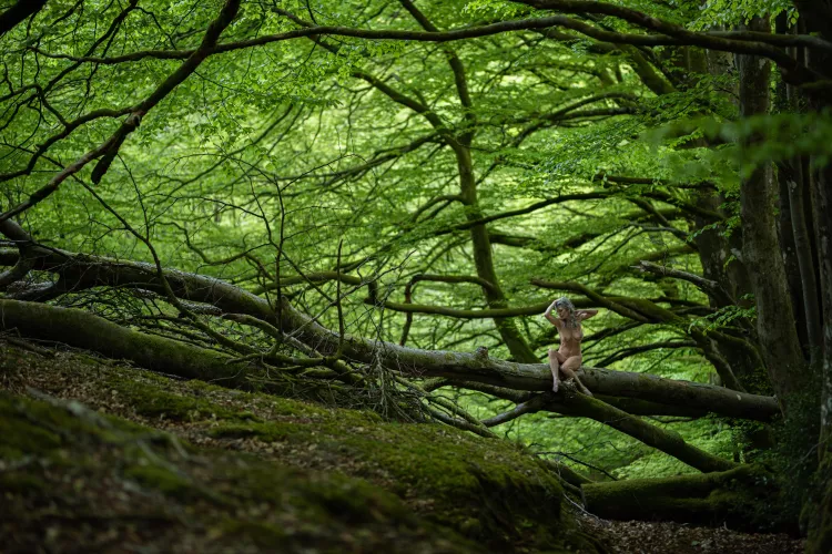 Such majestic woods in Exmoor by HelenSaunders