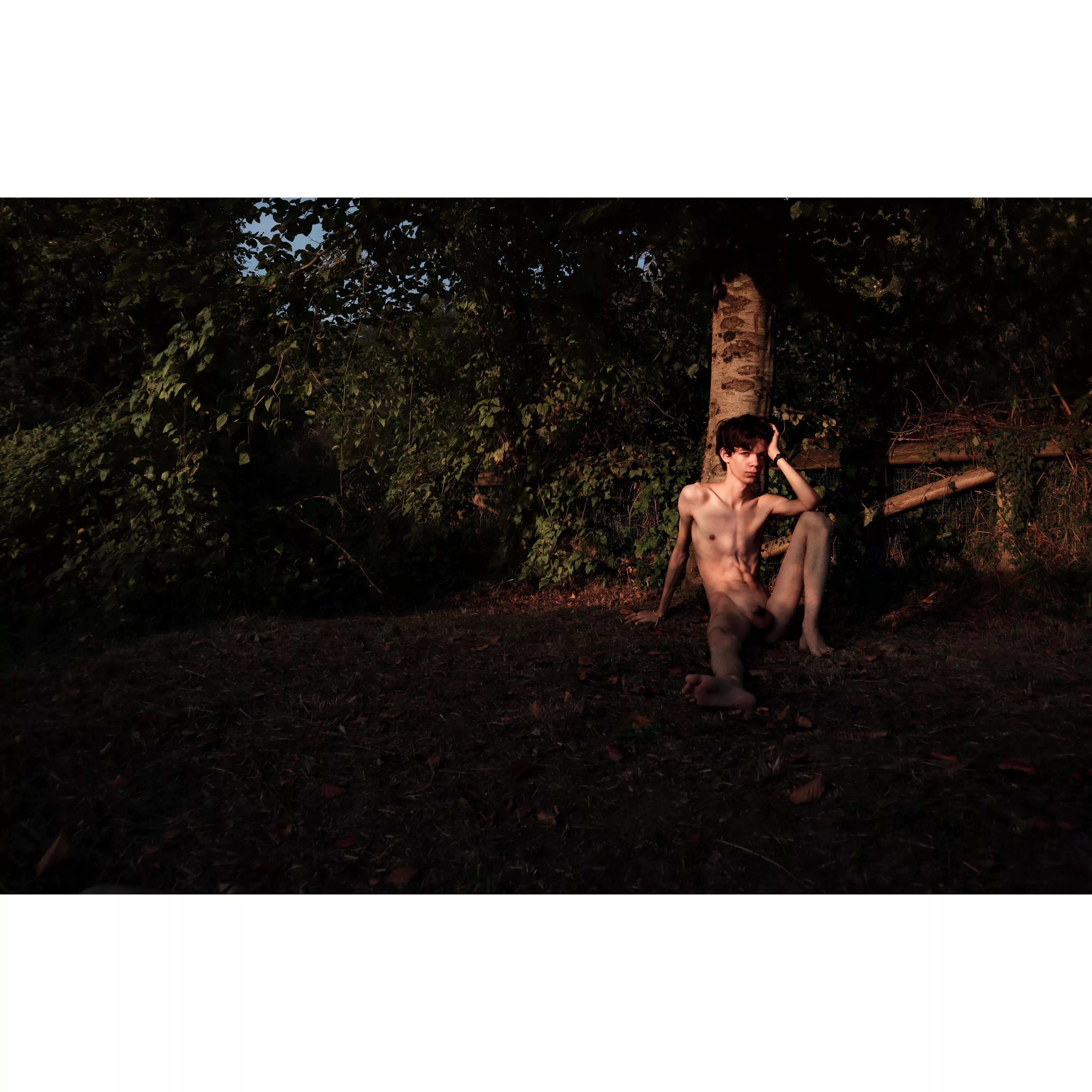 Taking a walk posted by Randomgallery