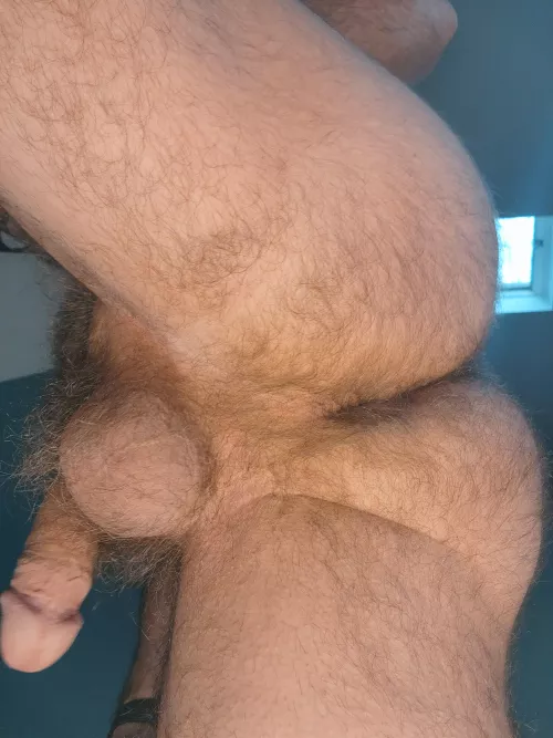Who likes a hairy man ass? by BackUpPlans