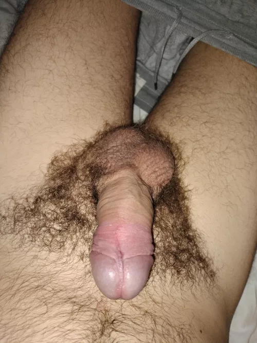 2 months without trimming. How do you find it? 😏 by vv_pt