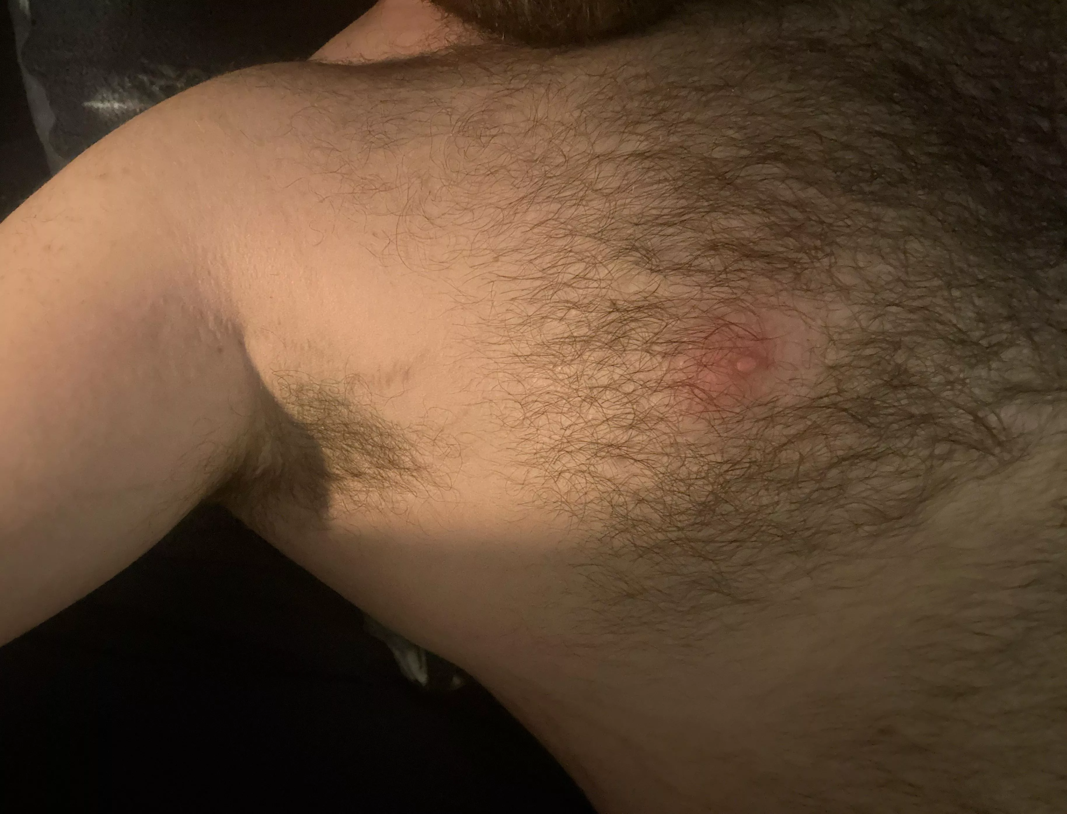 30M hairy daddy, be 18+. SC: dutch_gaydaddy posted by Dutchtopdude