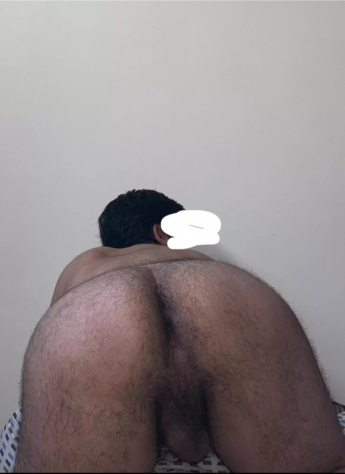 Breed me posted by Hothotel69