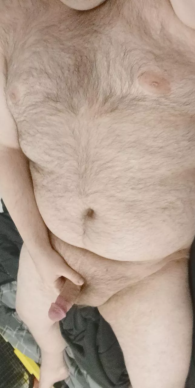 Crawl up to daddy, piggy posted by fatpiggy666