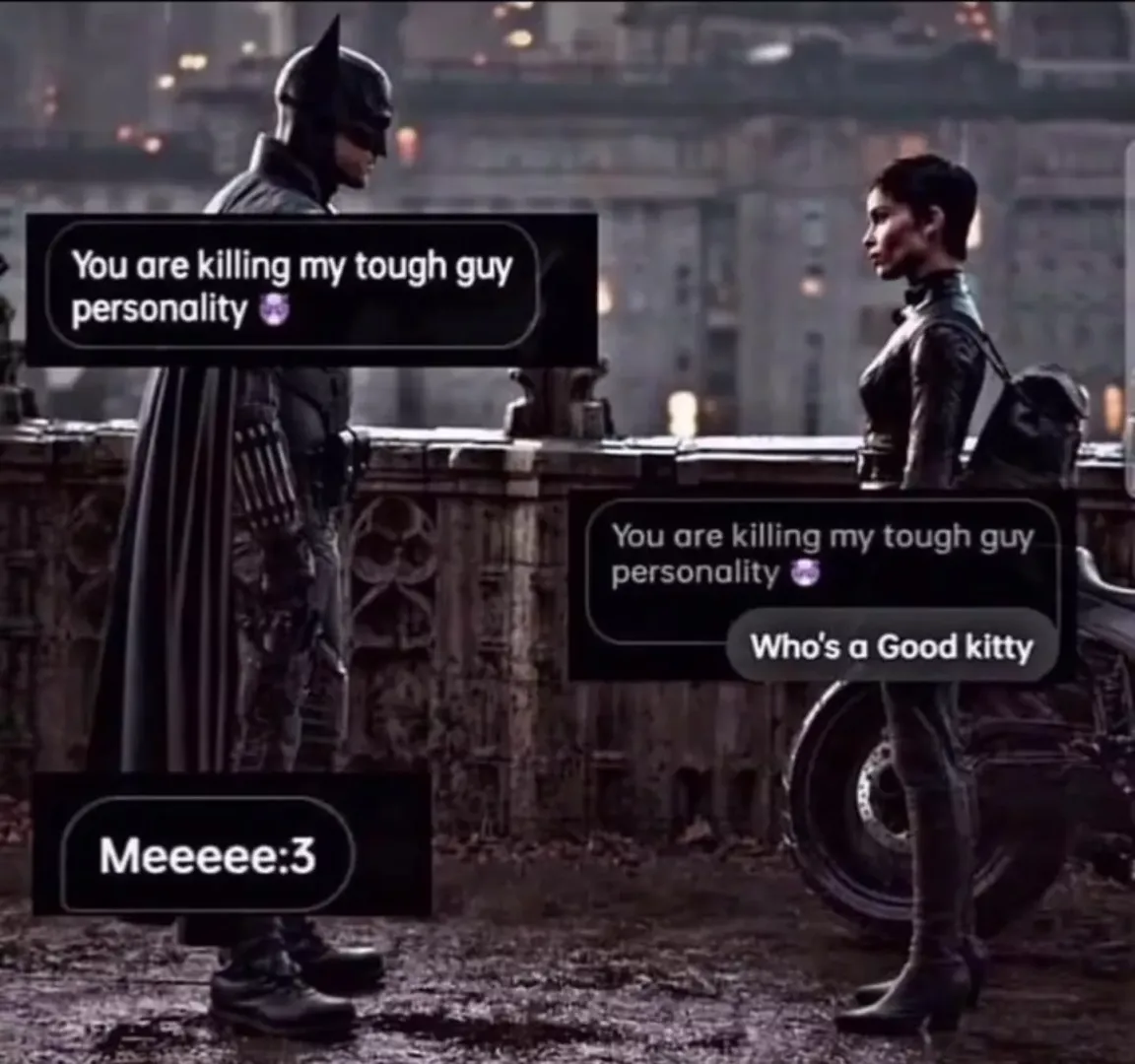 How am i supposed to save gotham city when she keeps on killing my tough guy personality 😔(serious answers only pls i have to fight the joker in like 20 min) by A_pure_boi