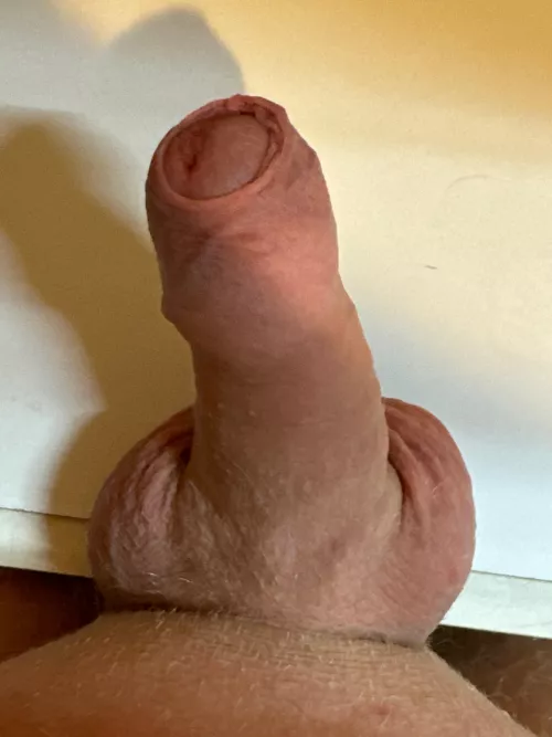 M21 by SeniorChallenge4790