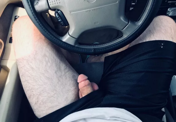 On lunch in the car. What would you do if you saw this walking by in the parking lot? by ssecretzz89