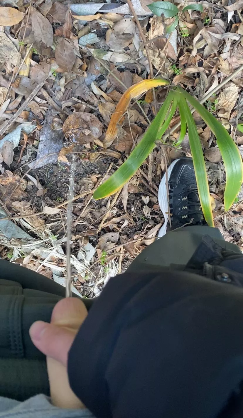 Pissing near my uni posted by InfluenceFormal7263