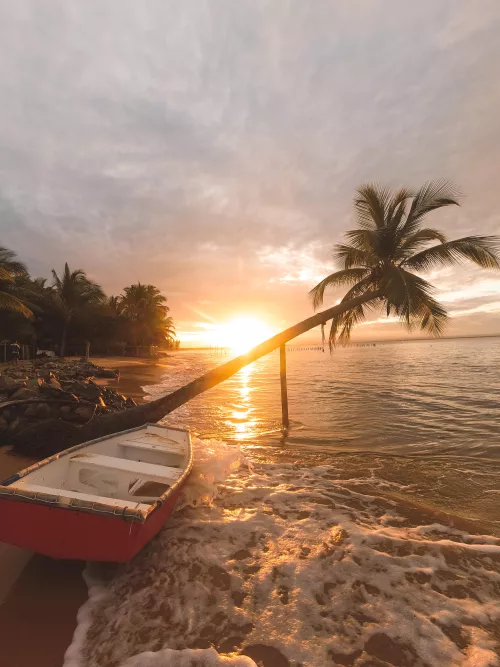 The Canoe and the Crooked Palm Tree by LordWitness