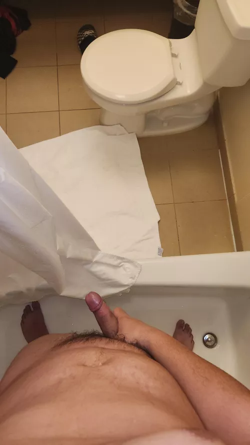 19 big booty chubs dm by Fabulous_Zombie_5868