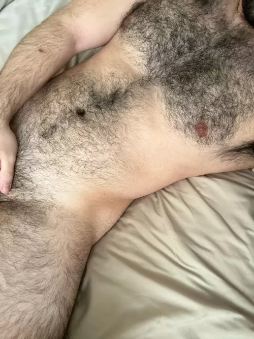 26 masc hung dad bod for BWC bros and twinks. Underwear + moaning + (no face) DM me for snap by malone_trip