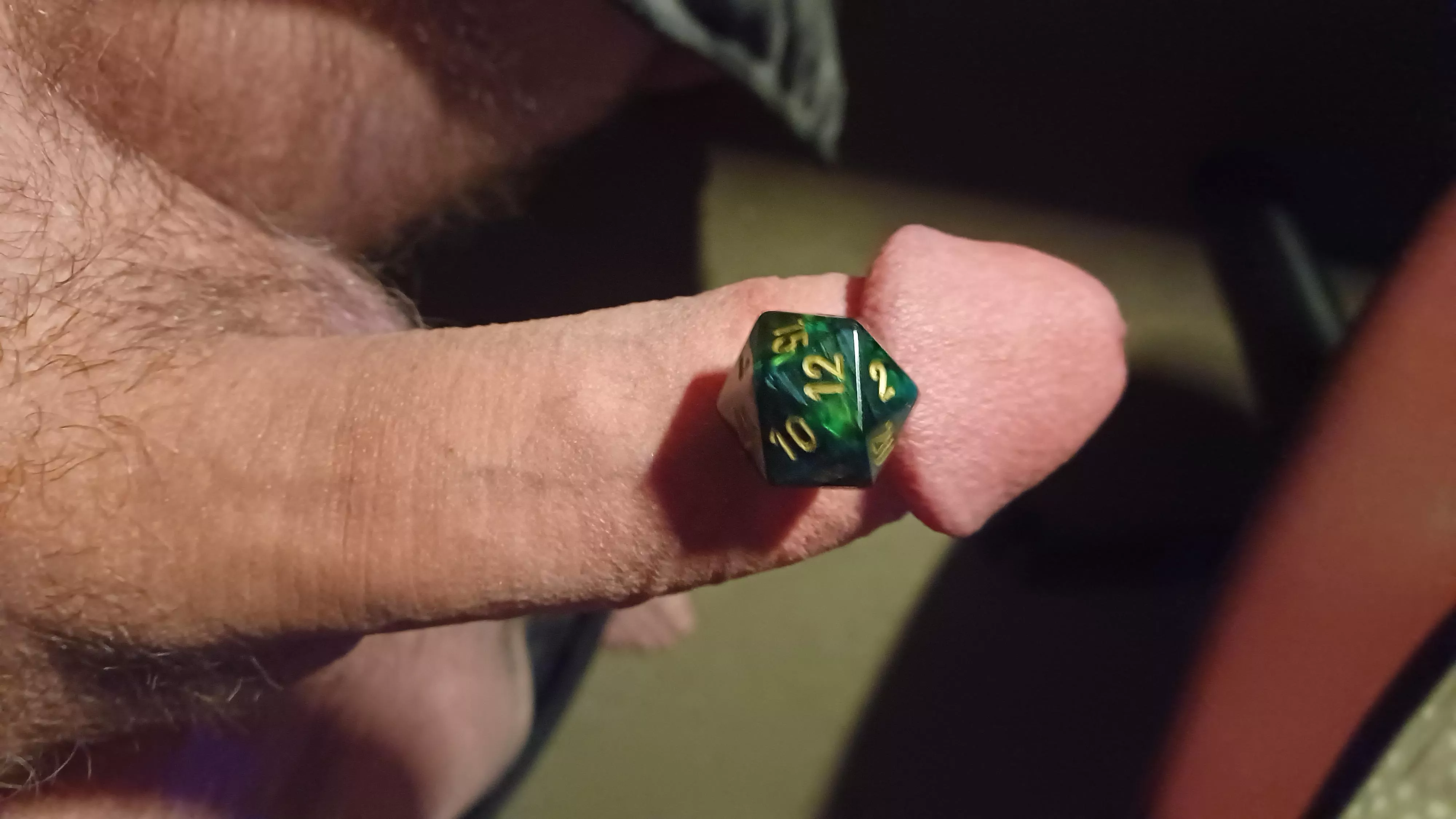 [52] Roll for Initiative posted by Ok_Wishbone_6592