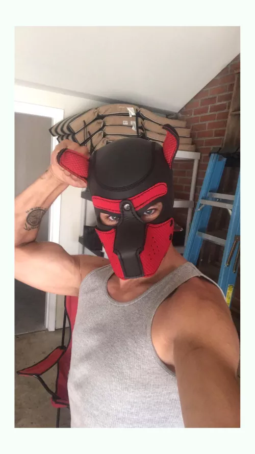 Absolutely zero judgment kind of guy here. That being said...what's your most naughty/bizarre kink? by StephanieMcguire97