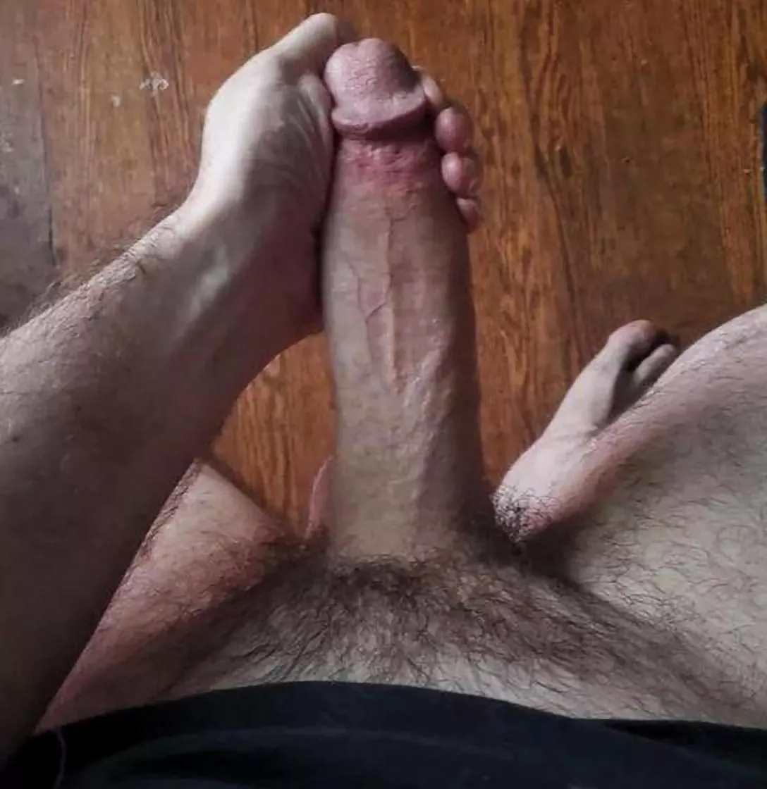 Can I put this in you? posted by TempIntrepid