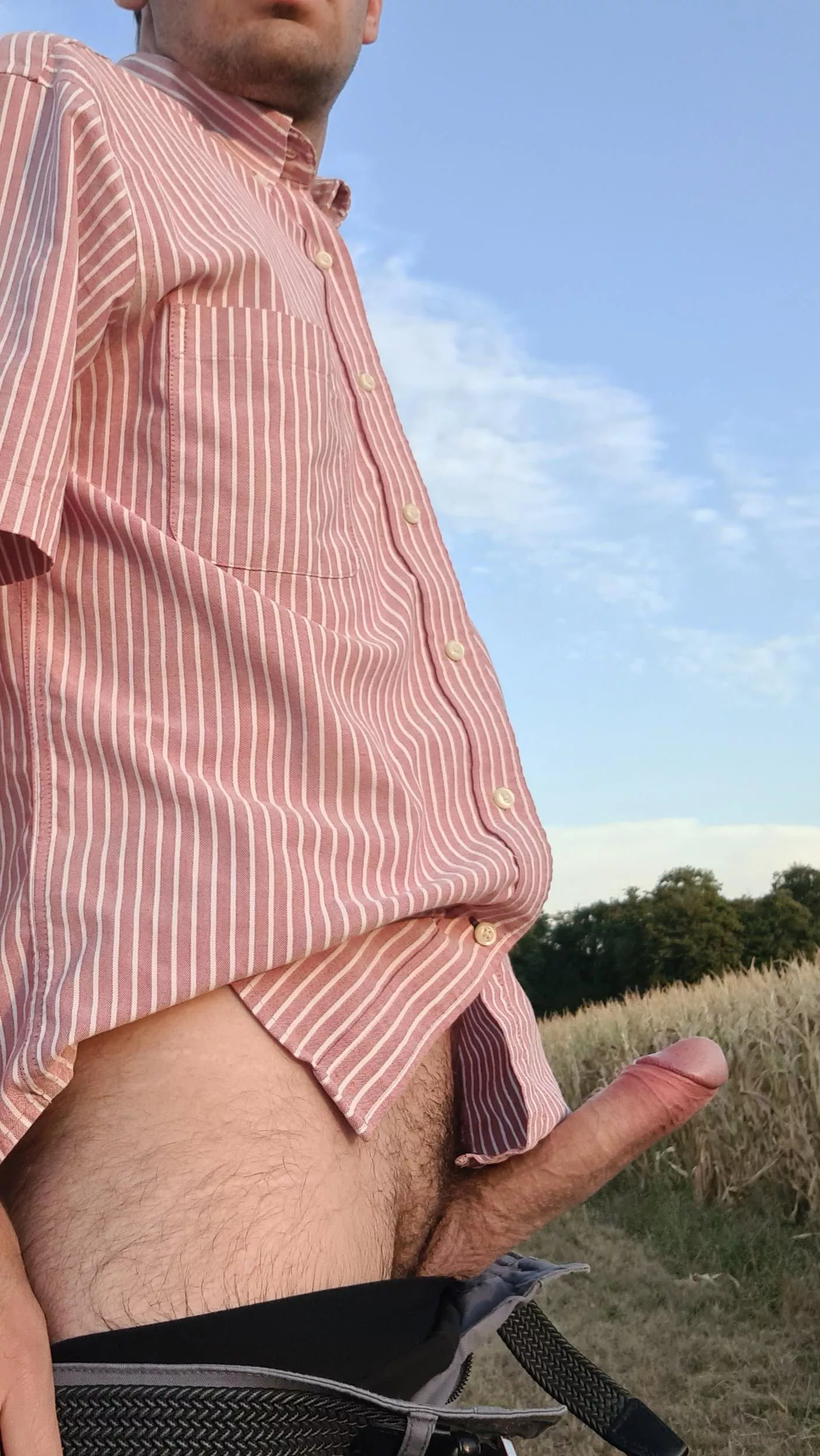 Come on a walk with me posted by vtilde