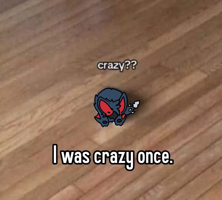 crazy?? I was crazy once. (By @RuiOnRollers, me!) posted by Used_Dimension1555