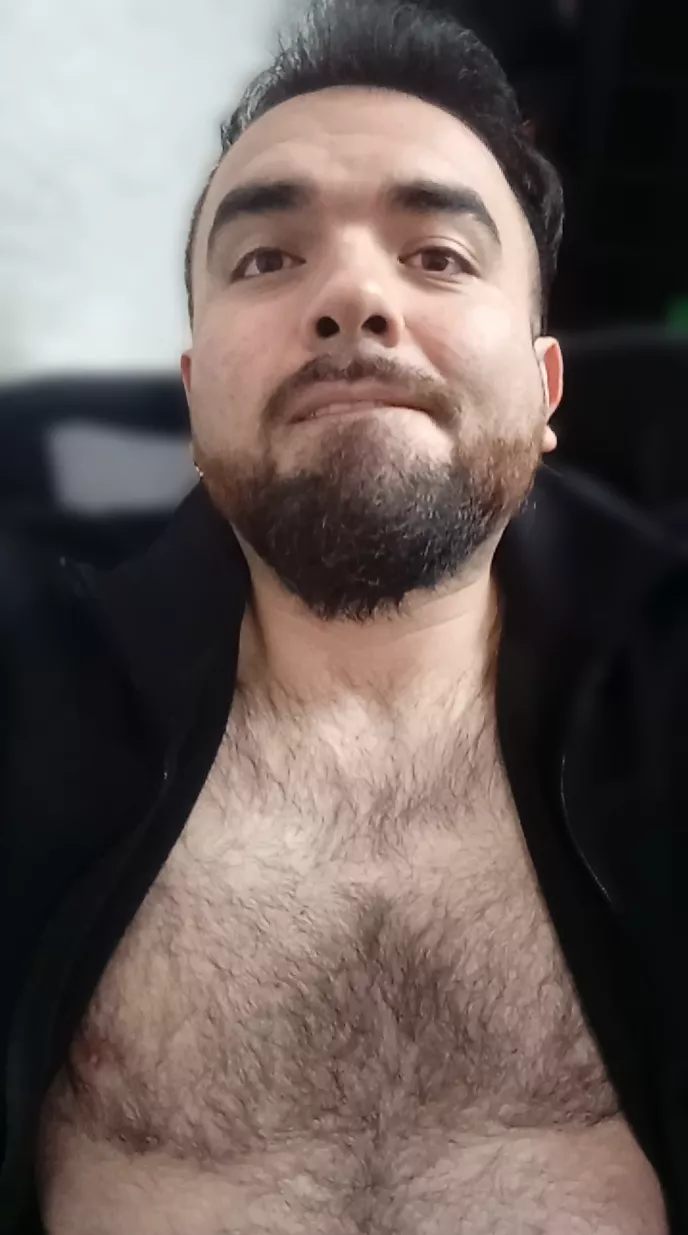 Do you like gifts? I have one for you. posted by MongolerX