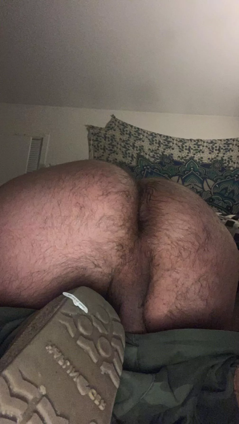 Hairy enough? posted by lucidlu69