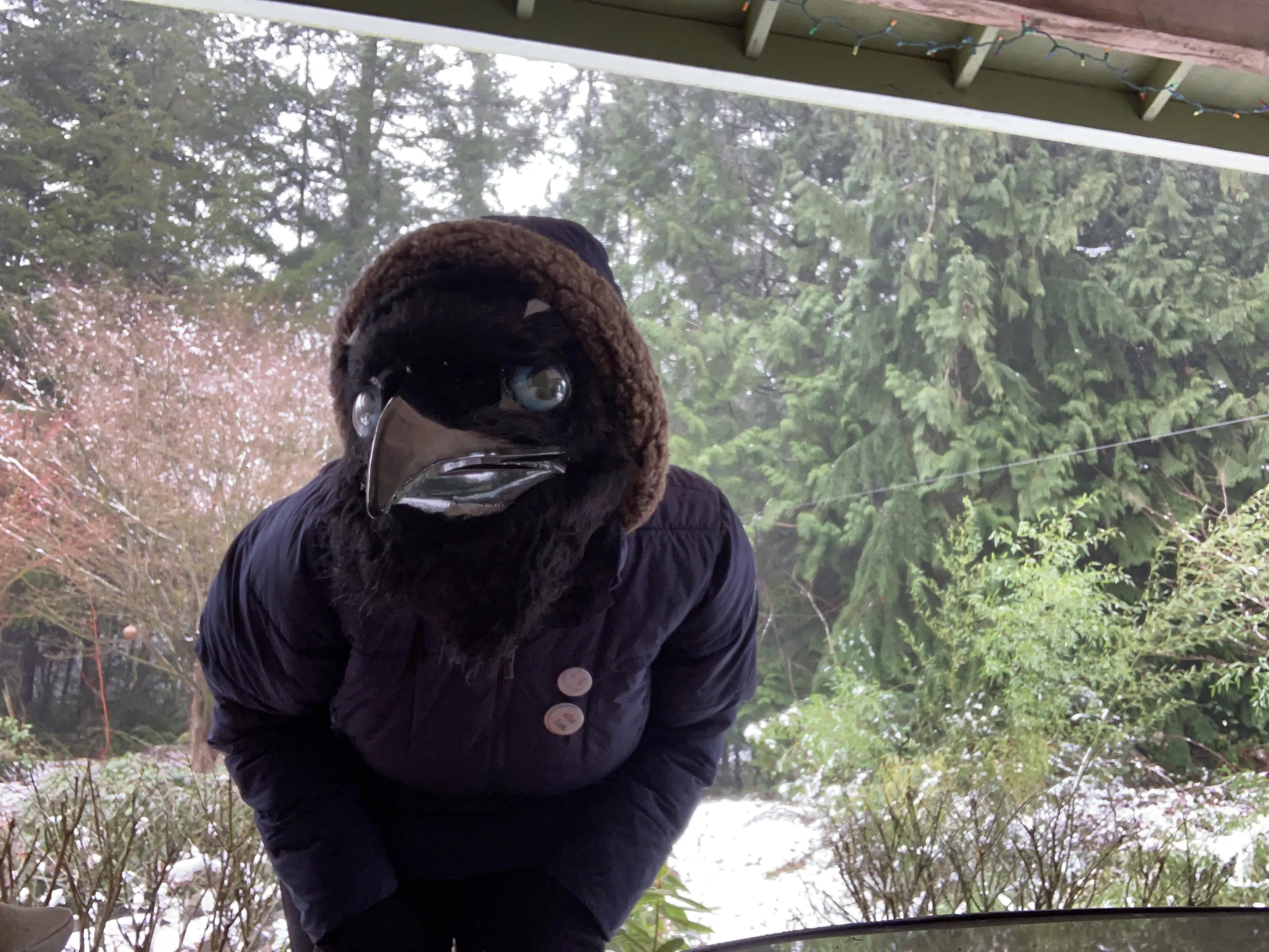 Happy Feathersuit Friday my friends! I got a bit of snow on Thursday! ❄️💙🐦‍⬛ posted by TheCreepy_Corvid