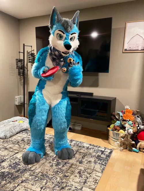 I was thinking we could play fetch by Sourgamer101