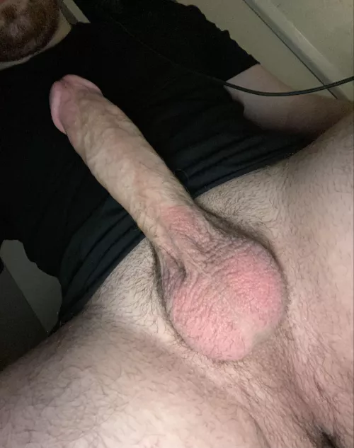 If you had the opportunity would you suck my cock? by Future_Suit6958