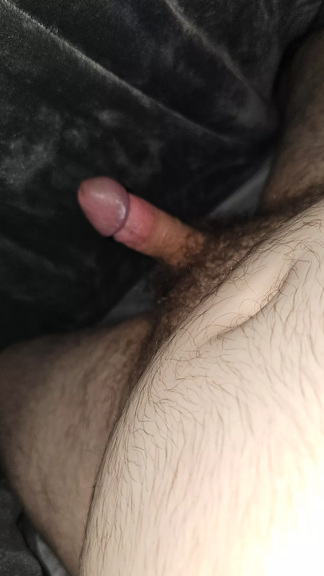 It's cold. Meet me under the covers? posted by HeftyStar1357